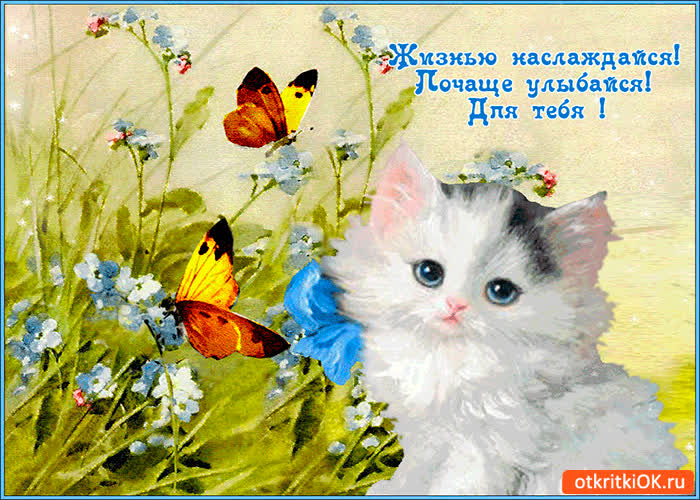 Картинка жизнью наслаждайся и почаще улыбайся