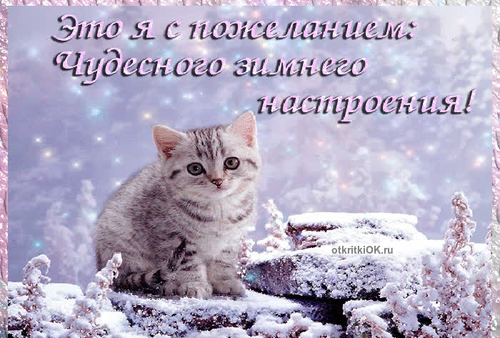 Картинка зима красивая картинка гиф
