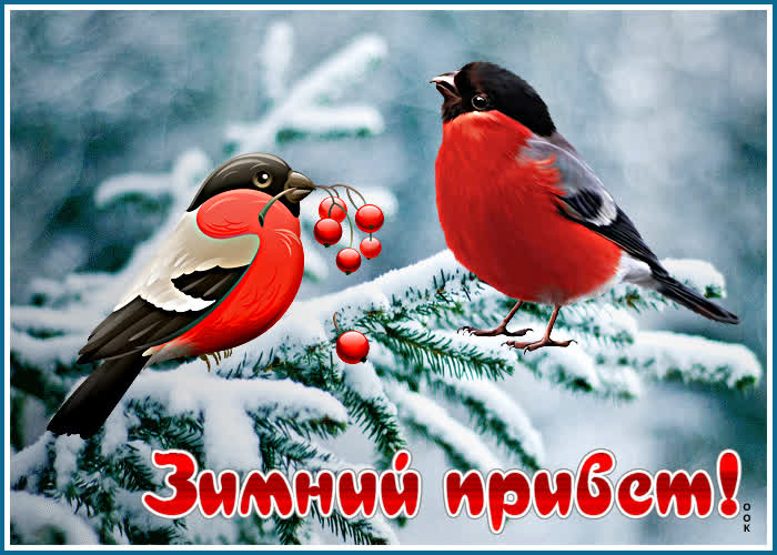 Картинка анимационная картинка зима