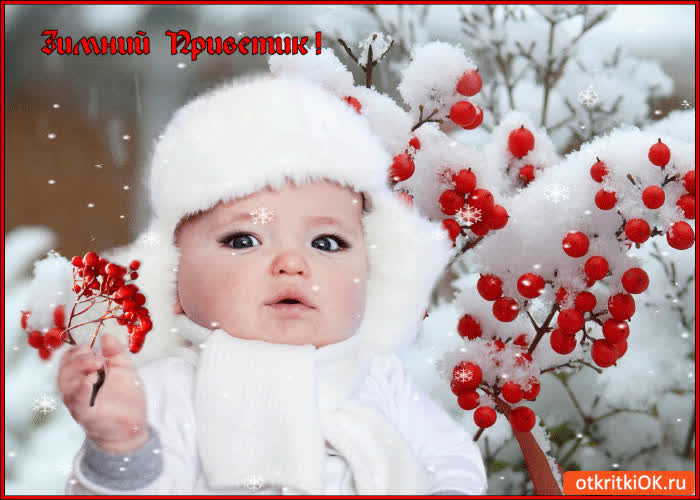 Картинка зимний маленький приветик
