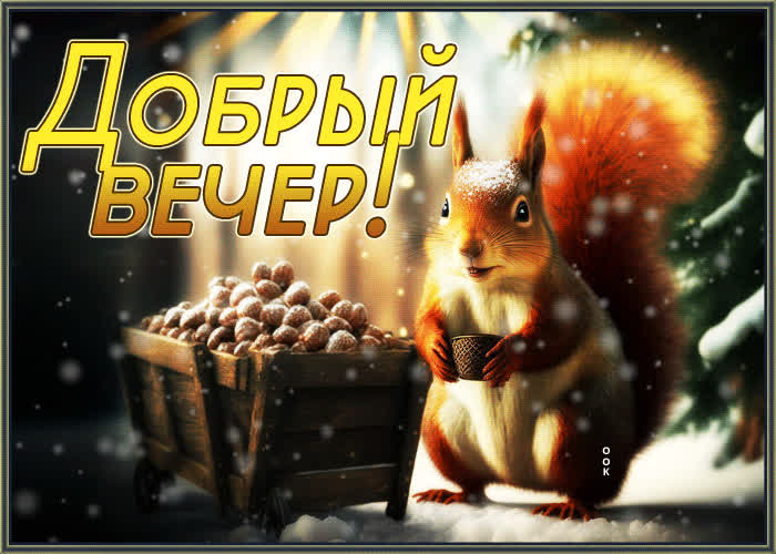 Postcard зимняя атмосферная открытка с белкой добрый вечер