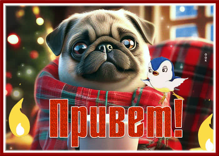 Postcard зимняя открытка с милым мопсом привет