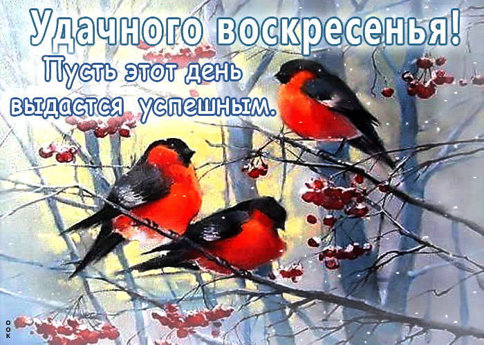Picture зимняя открытка удачного воскресенья! пусть этот день выдастся успешным