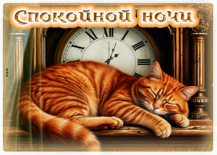 Picture живая милая гиф-открытка спокойной ночи