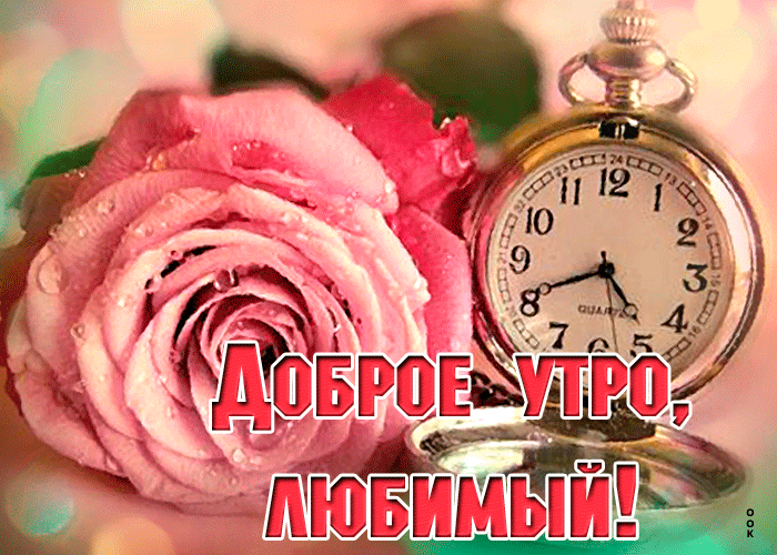 Postcard живая открытка доброе утро, любимый! с розой и часами