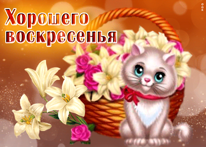Postcard живая открытка с кошечкой хорошего воскресенья