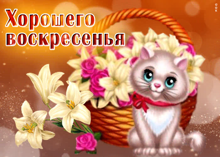 Postcard живая открытка с кошечкой хорошего воскресенья
