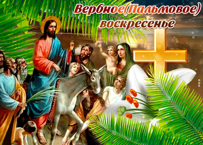 Картинка живая открытка вербное воскресенье
