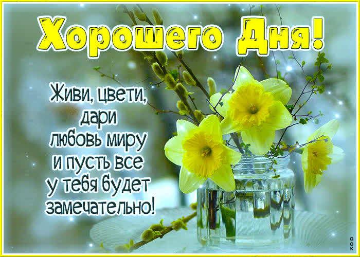 Picture живи, цвети, дари любовь миру и пусть у тебя все будет замечательно