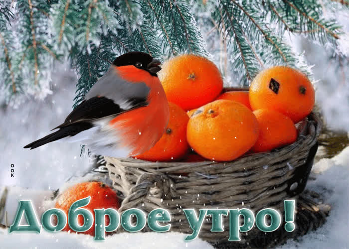 Postcard жизнерадостная и оптимистичная открытка с птичкой доброе утро