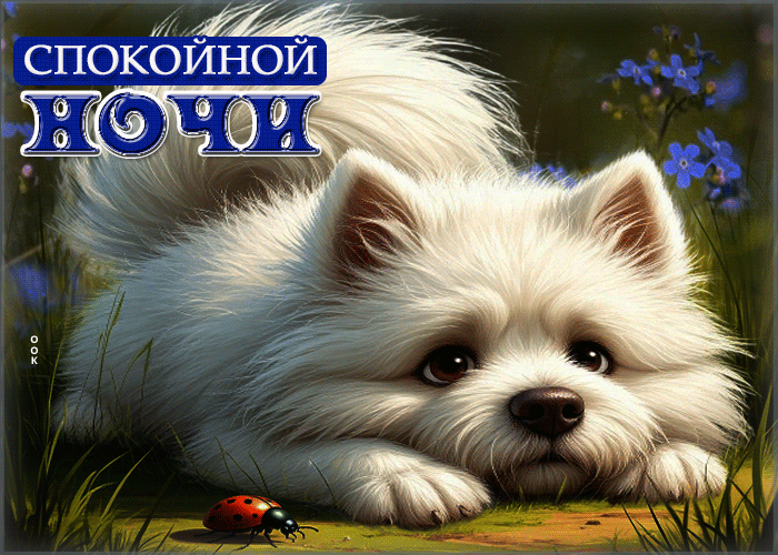 Postcard жизнерадостная летняя гиф-открытка спокойной ночи