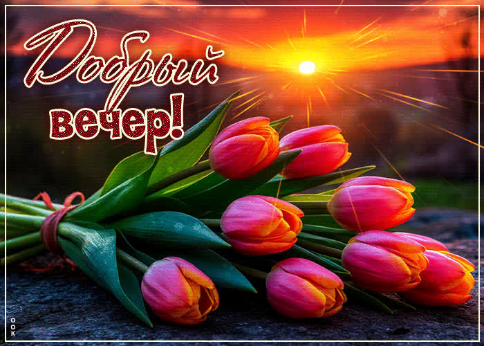 Picture жизнерадостная весенняя гиф-открытка добрый вечер