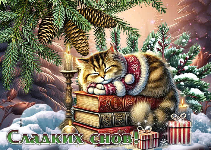 Picture жизнерадостная зимняя гиф-открытка сладких снов