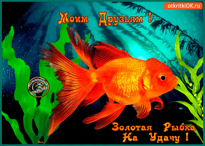 Картинка золотая рыбка на удачу