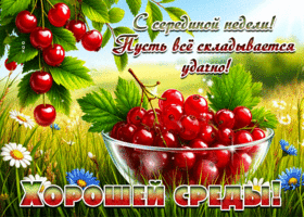 Среда